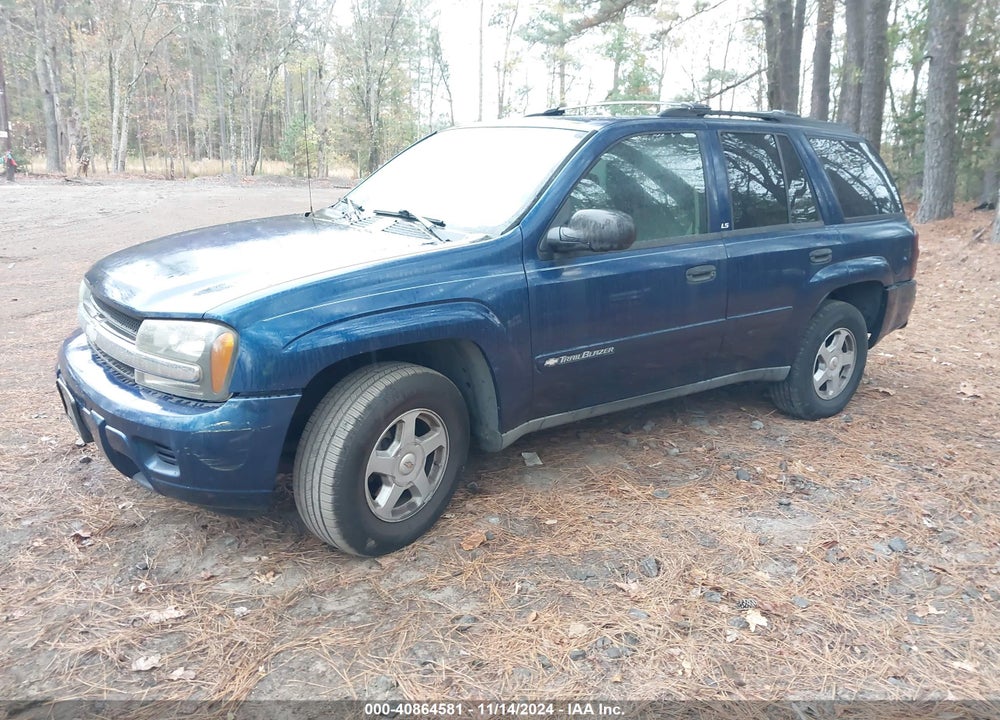 2002 CHEVROLET TRAILBLAZER LS VIN: 1GNDS13S022501144
