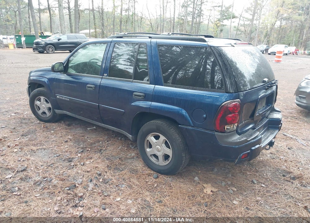 2002 CHEVROLET TRAILBLAZER LS VIN: 1GNDS13S022501144