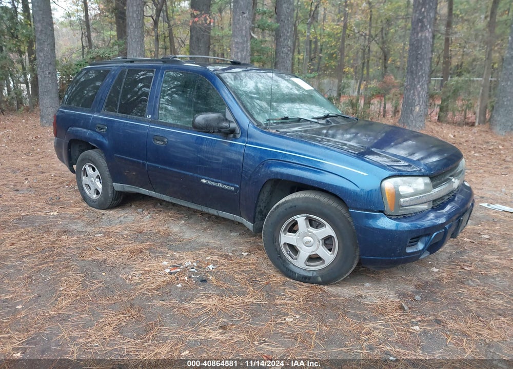 2002 CHEVROLET TRAILBLAZER LS VIN: 1GNDS13S022501144