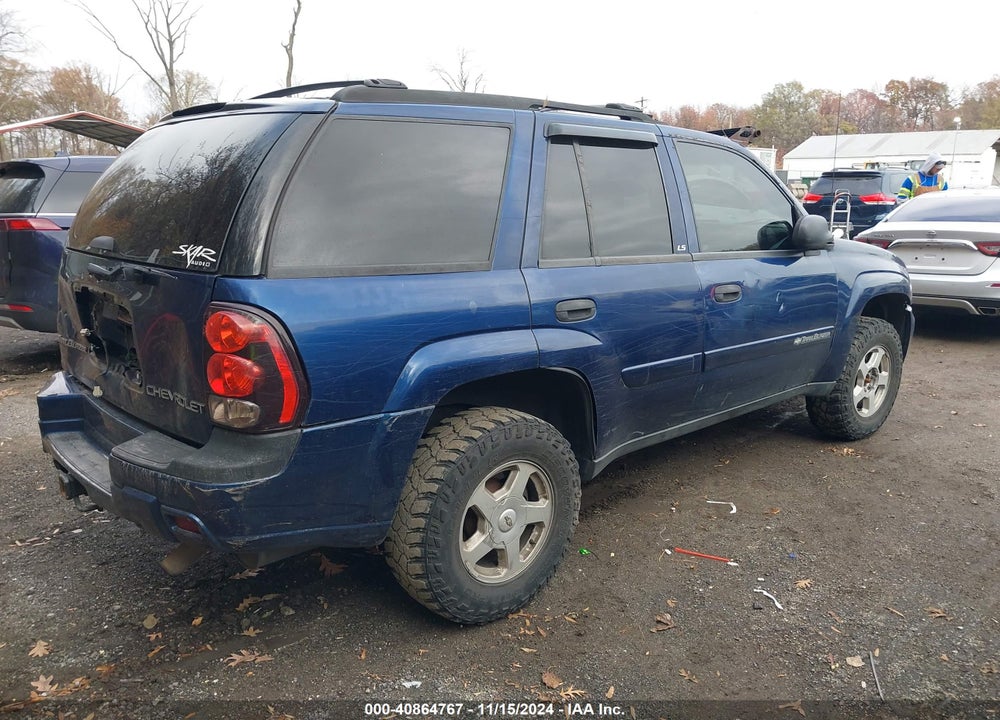 2002 CHEVROLET TRAILBLAZER LS VIN: 1GNDT13S522400520