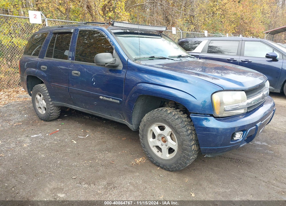 2002 CHEVROLET TRAILBLAZER LS VIN: 1GNDT13S522400520