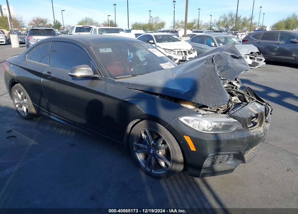 2016 BMW M235I VIN: WBA1J7C50GV359375