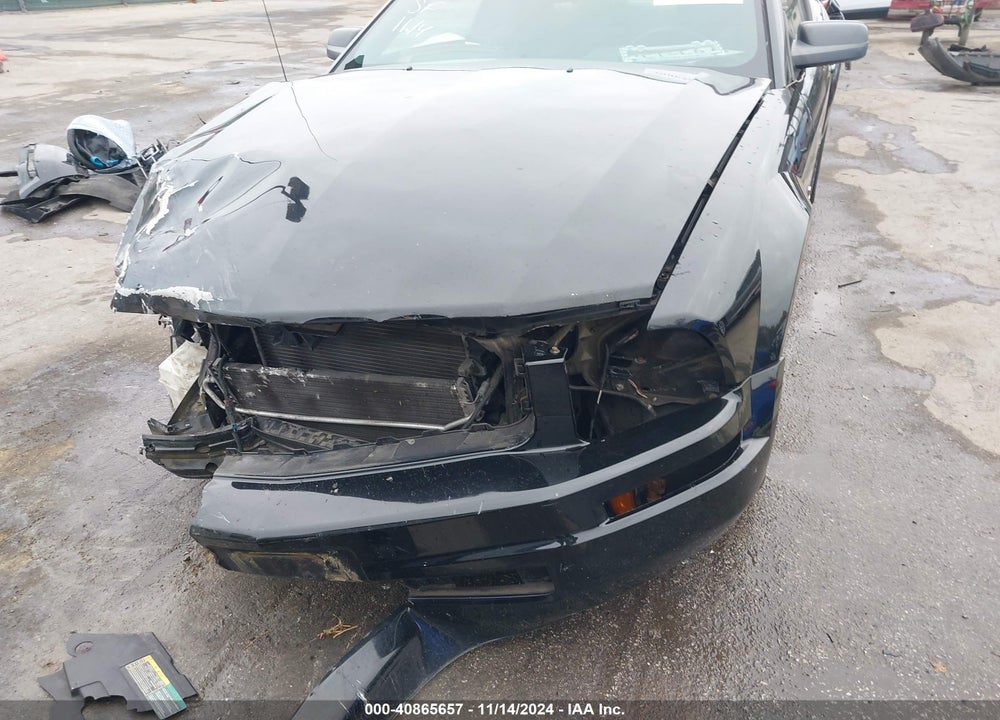 2007 FORD MUSTANG V6 DELUXE/V6 PREMIUM VIN: 1ZVFT80N575281198