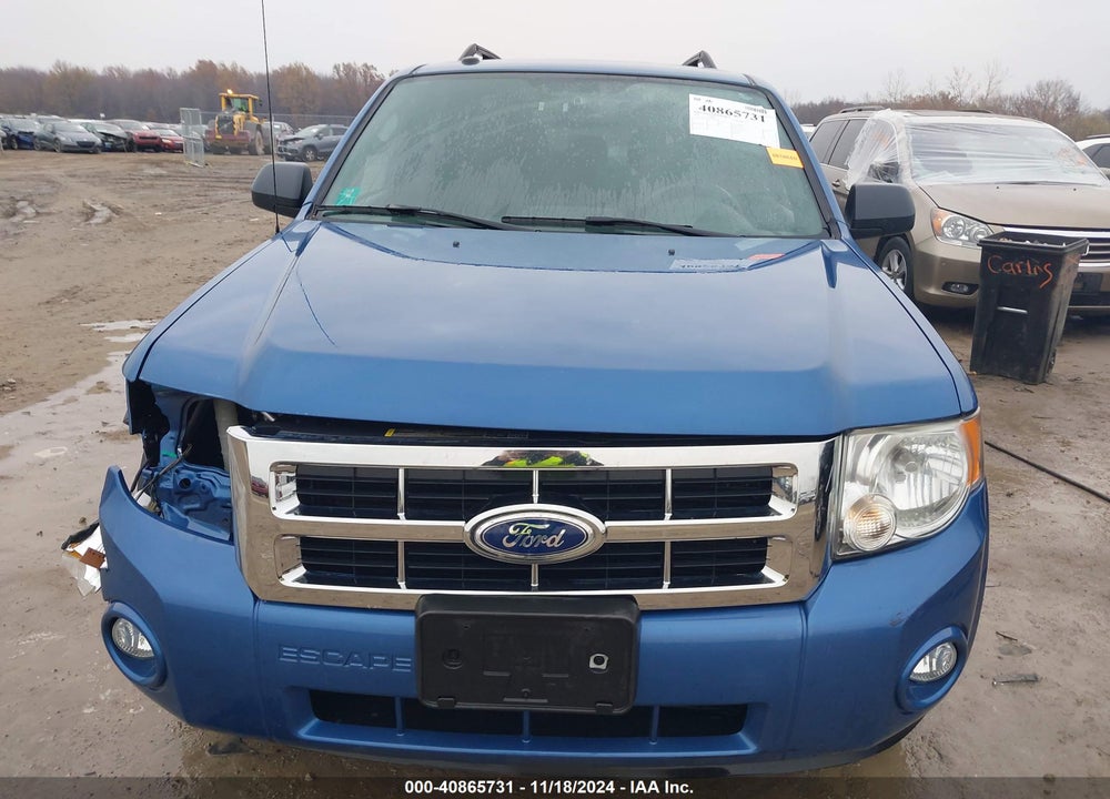 2010 FORD ESCAPE XLT VIN: 1FMCU0DG5AKB40281