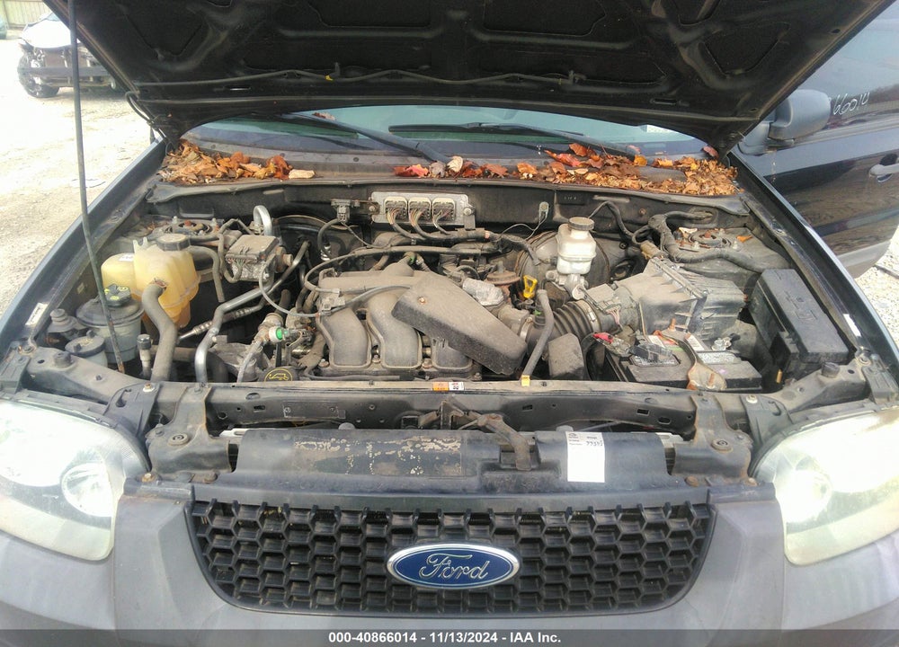 2007 FORD ESCAPE XLT/XLT SPORT VIN: 1FMYU03197KA98855