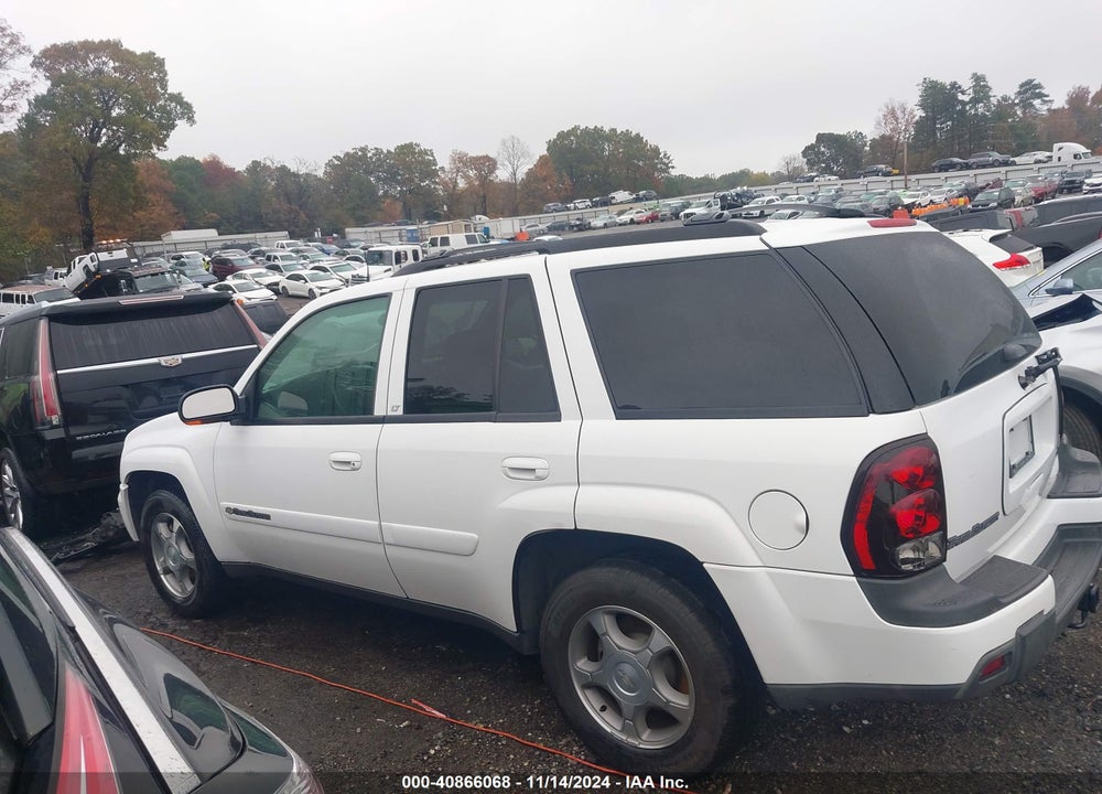 2004 CHEVROLET TRAILBLAZER LT VIN: 1GNDT13S142320635