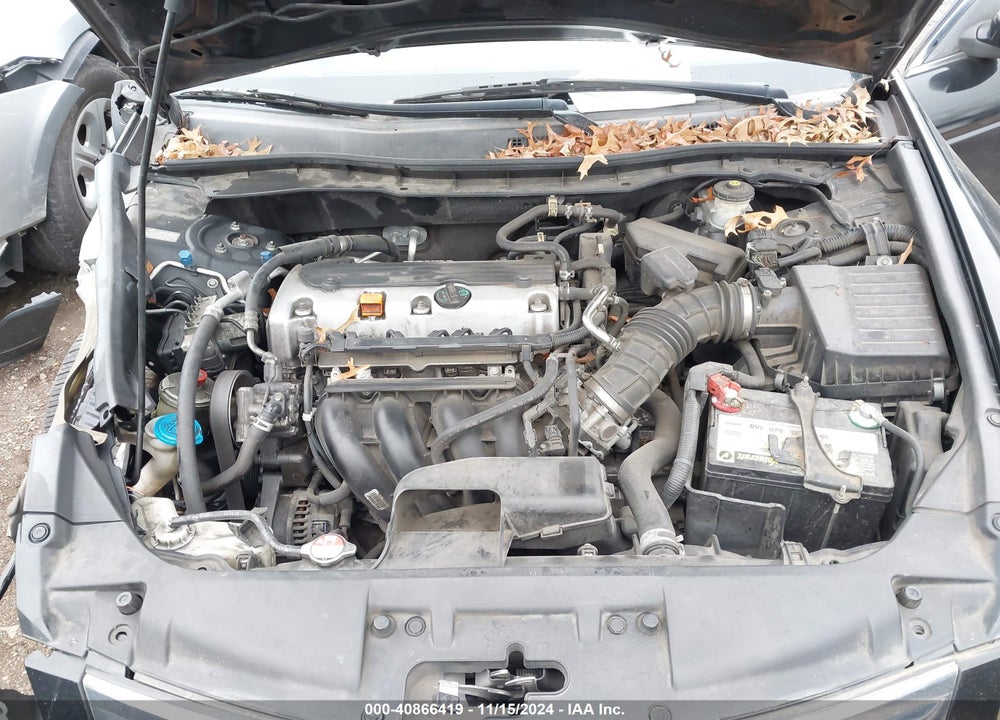 2010 HONDA ACCORD 2.4 LX VIN: 1HGCP2F31AA013293