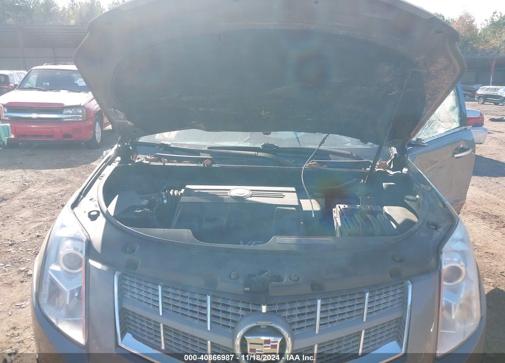 2011 CADILLAC SRX STANDARD VIN: 3GYFNGEY9BS586707