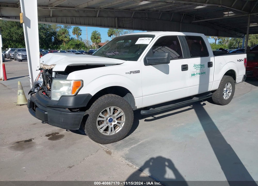 2013 FORD F-150 XL VIN: 1FTFW1EF2DKG18832