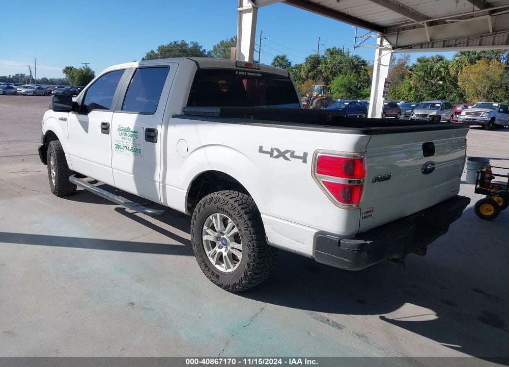 2013 FORD F-150 XL VIN: 1FTFW1EF2DKG18832