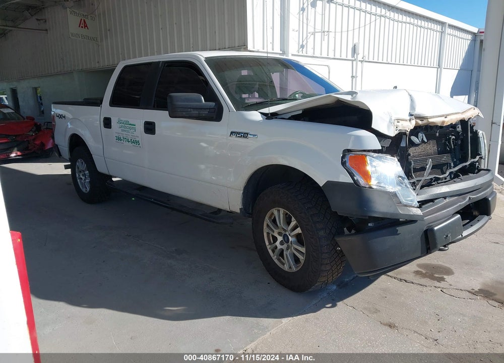 2013 FORD F-150 XL VIN: 1FTFW1EF2DKG18832