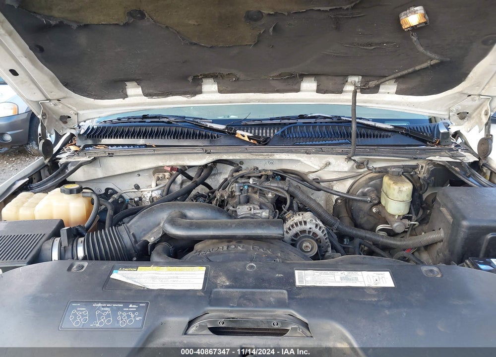 1999 CHEVROLET SILVERADO 1500 LS VIN: 1GCEK19TXXE121635