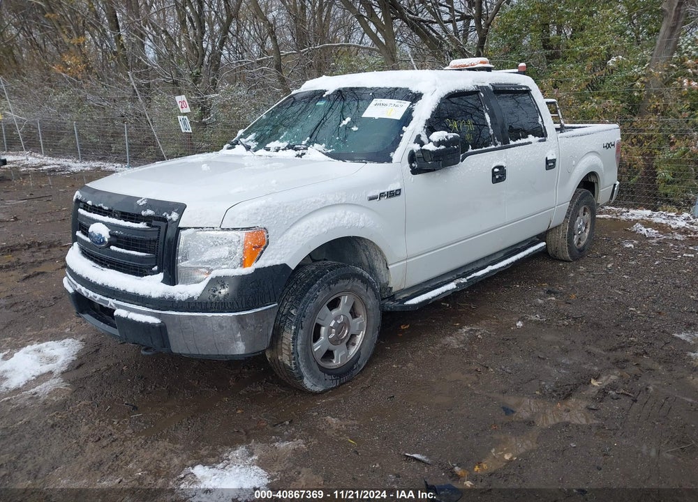 2014 FORD F-150 XL VIN: 1FTFW1EF5EFA42762