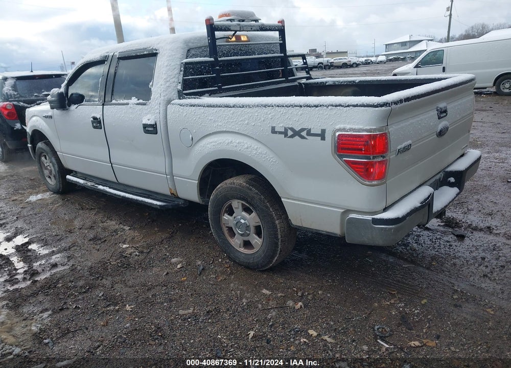 2014 FORD F-150 XL VIN: 1FTFW1EF5EFA42762