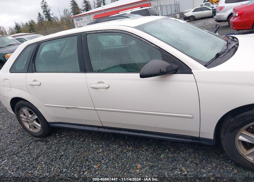 2004 CHEVROLET MALIBU MAXX LS VIN: 1G1ZT62874F227881