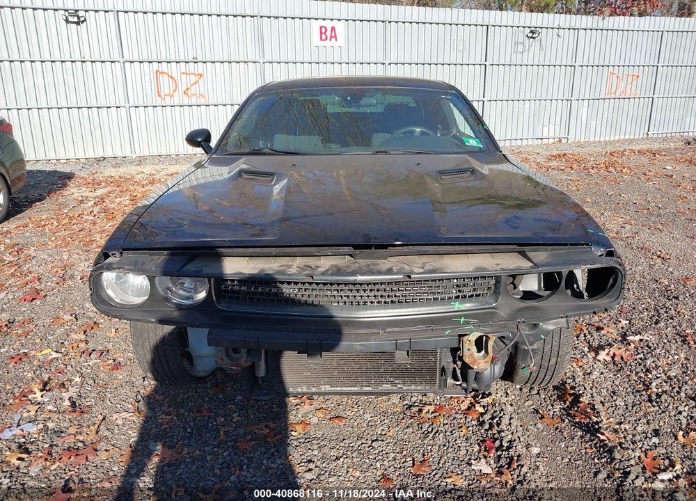 2010 DODGE CHALLENGER SE VIN: 2B3CJ4DV8AH219472