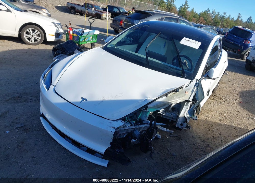 2024 TESLA MODEL 3 REAR-WHEEL DRIVE VIN: 5YJ3E1EA4RF849567