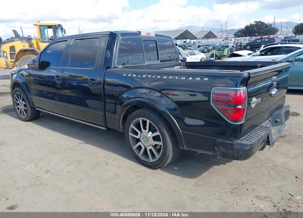 2010 FORD F-150 VIN: 1FTEW1CV6AFA50241
