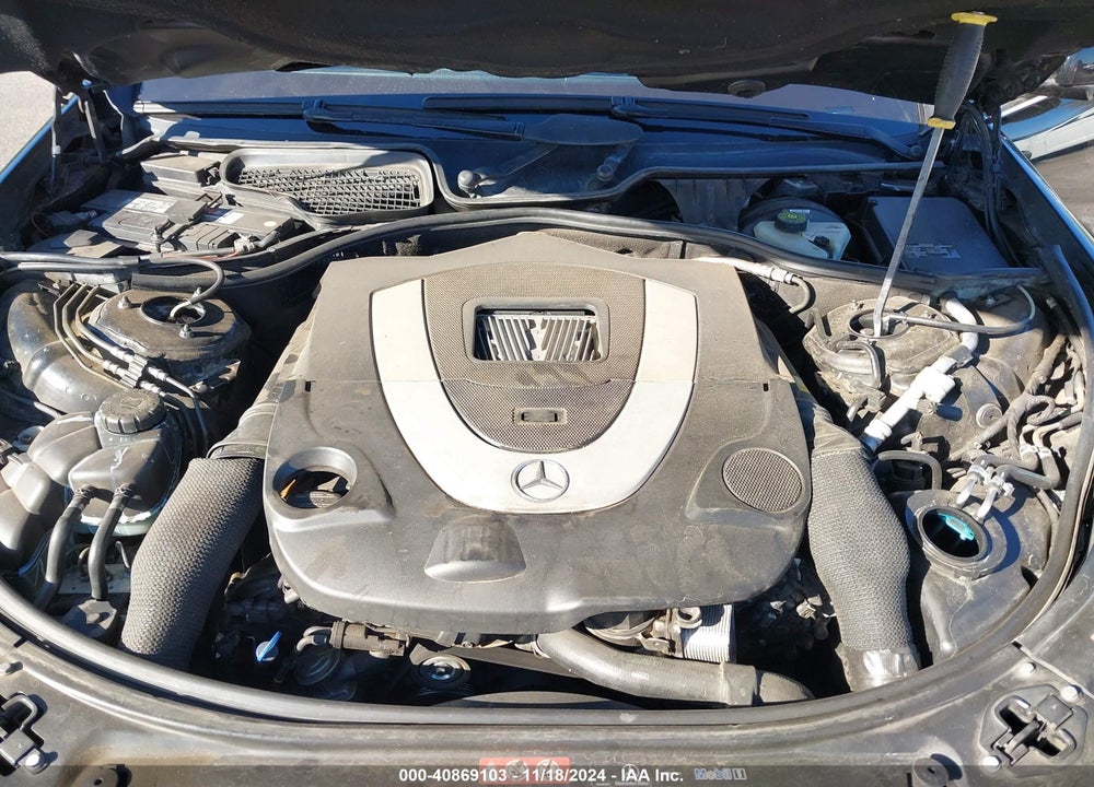 2010 MERCEDES-BENZ S 550 VIN: WDDNG7BB5AA314351