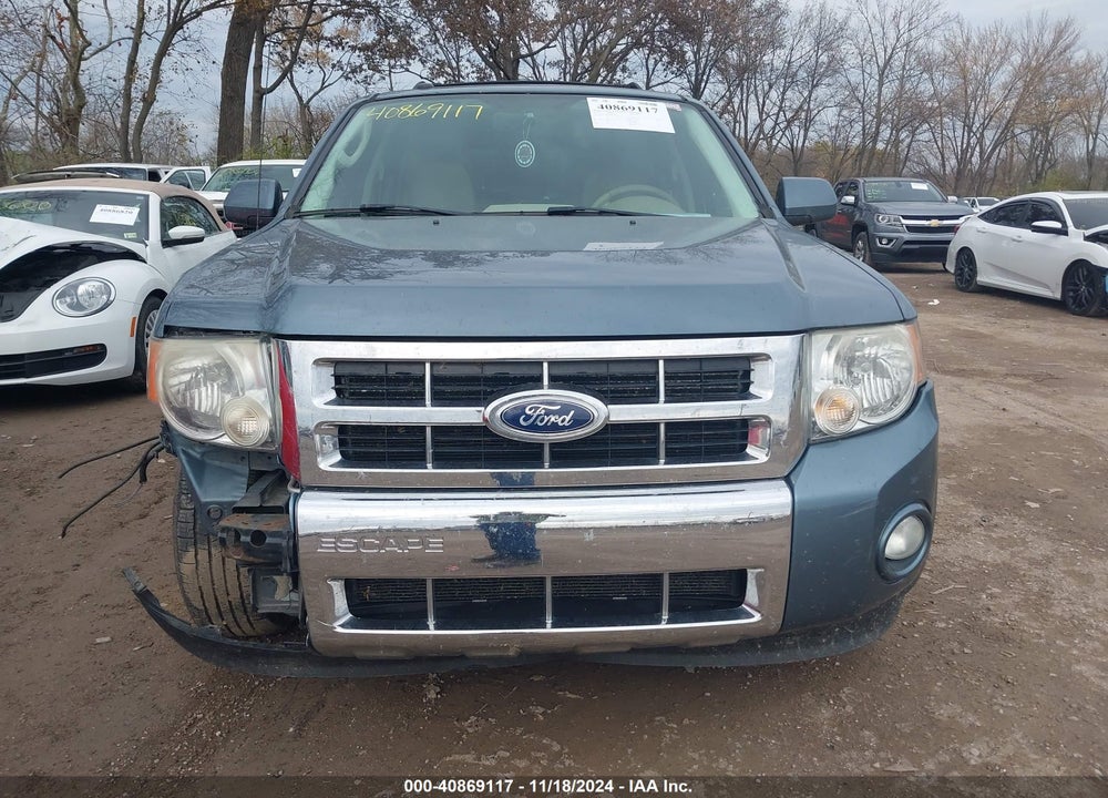2010 FORD ESCAPE LIMITED VIN: 1FMCU0EG5AKB20420