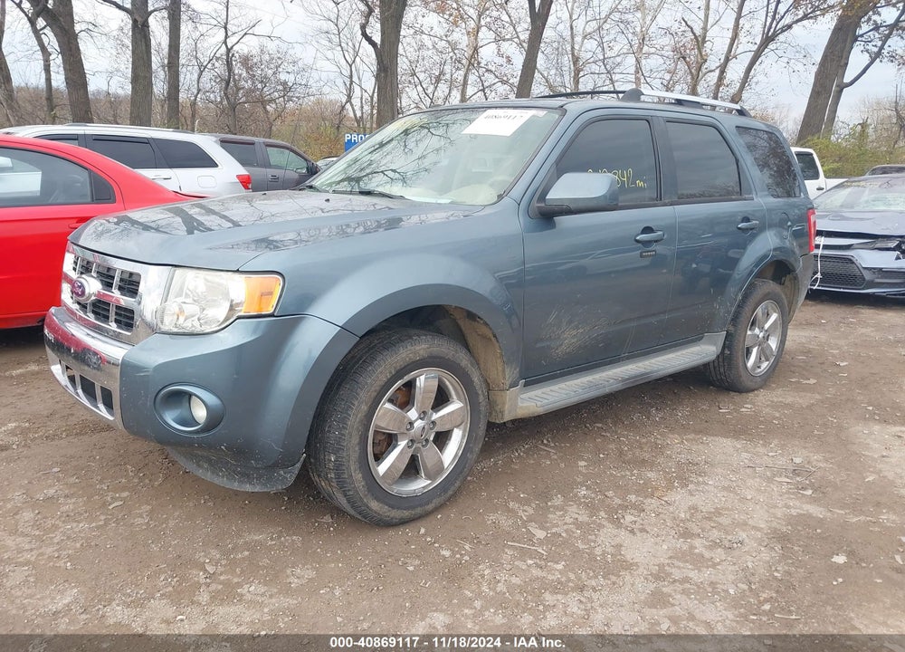 2010 FORD ESCAPE LIMITED VIN: 1FMCU0EG5AKB20420