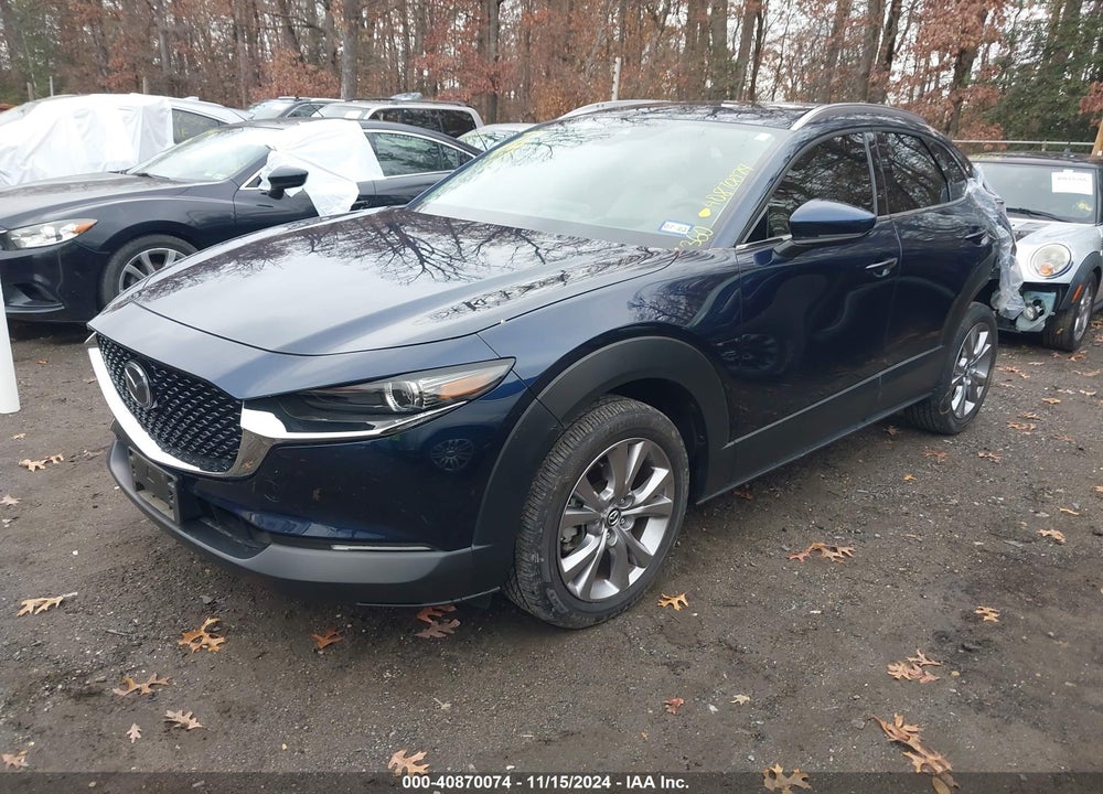 2021 MAZDA CX-30 PREMIUM VIN: 3MVDMBDM5MM216782