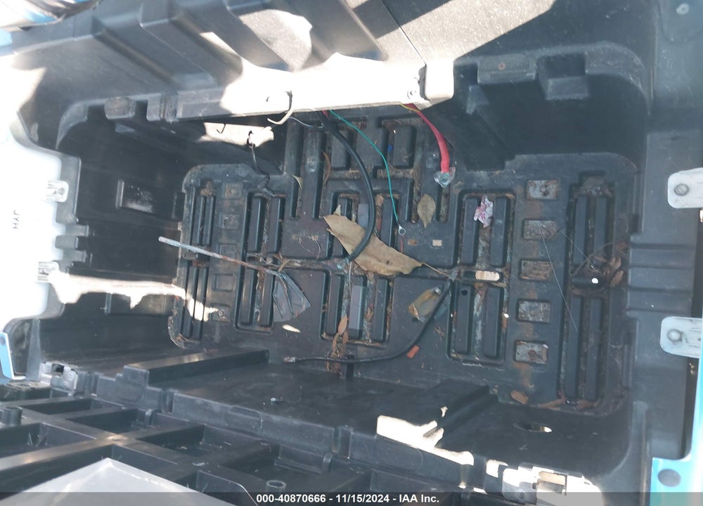 2021 BINITELLI OTHER VIN: 1G9BA4210MC411640