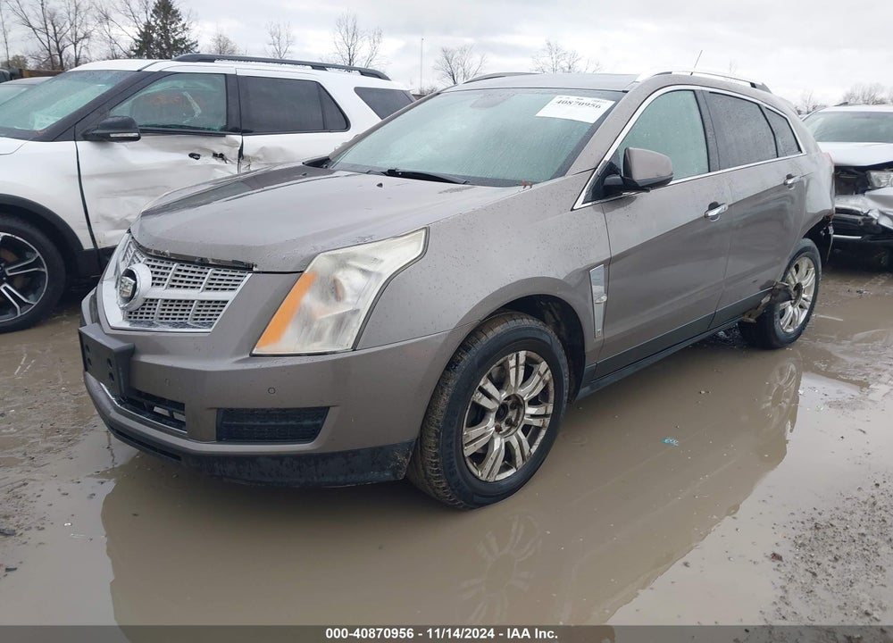 2012 CADILLAC SRX LUXURY COLLECTION VIN: 3GYFNAE36CS509439