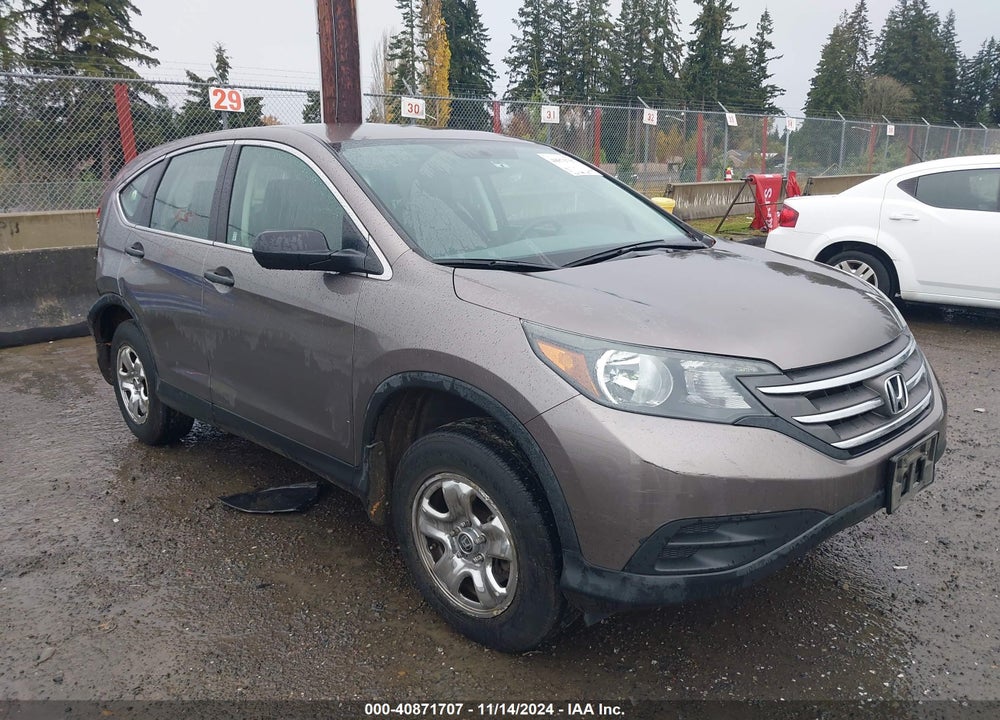2013 HONDA CR-V LX VIN: 5J6RM4H38DL032162