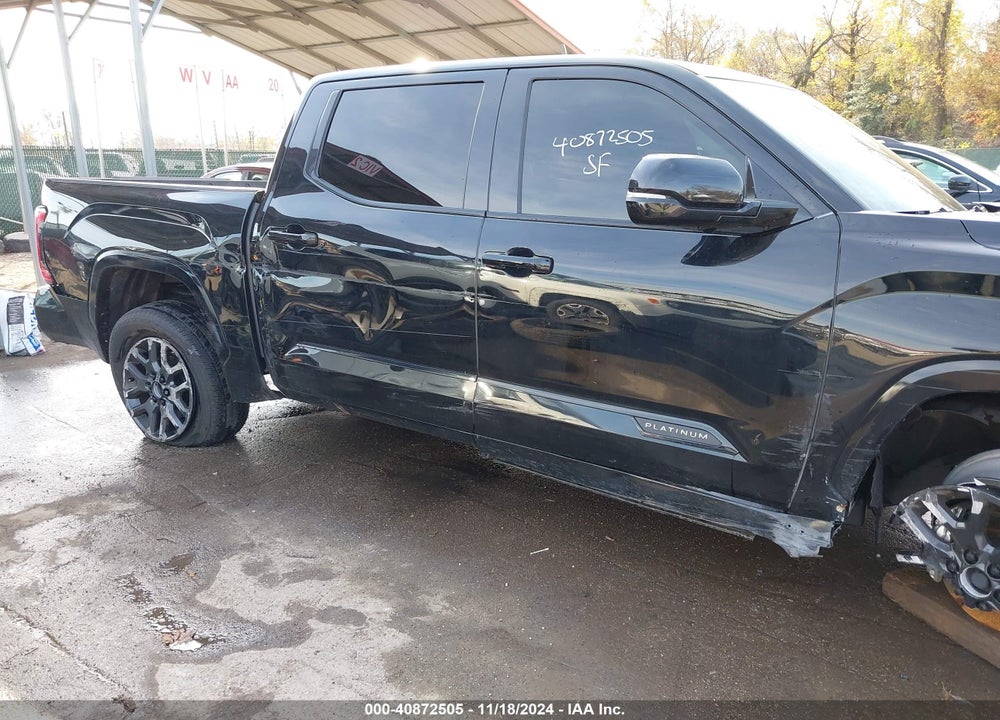 2024 TOYOTA TUNDRA PLATINUM VIN: 5TFNA5DB1RX192352
