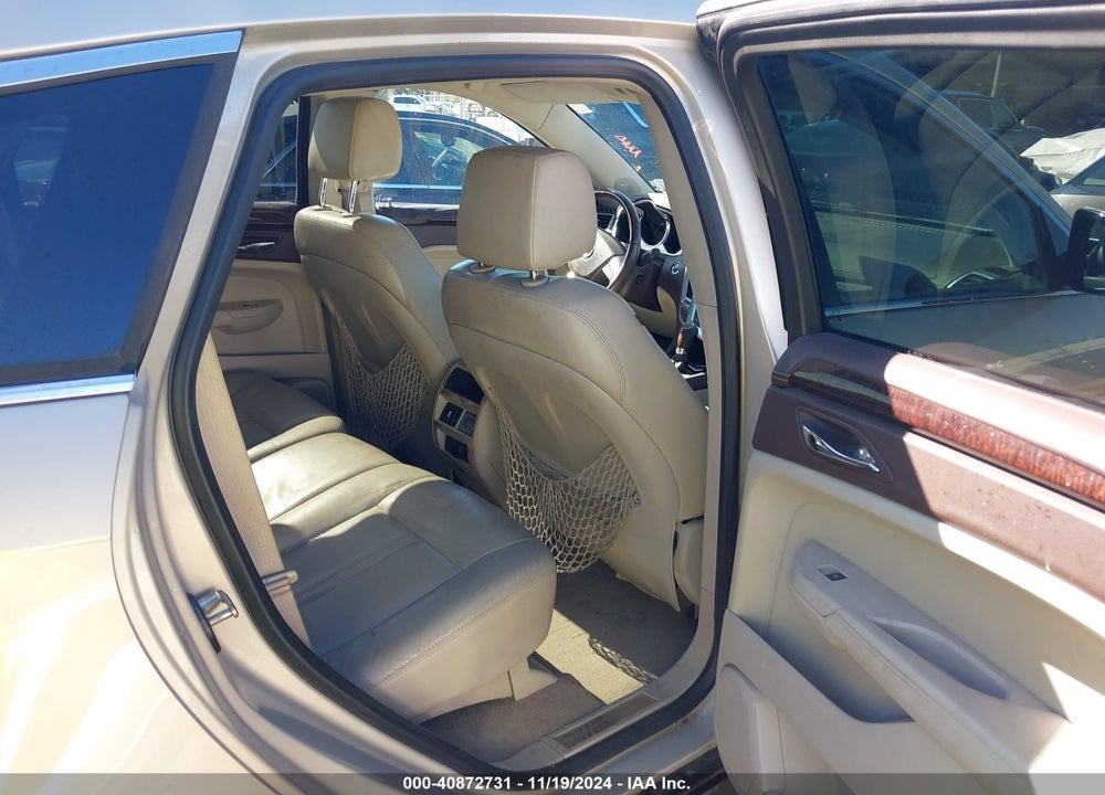2010 CADILLAC SRX LUXURY COLLECTION VIN: 3GYFNAEY0AS500793