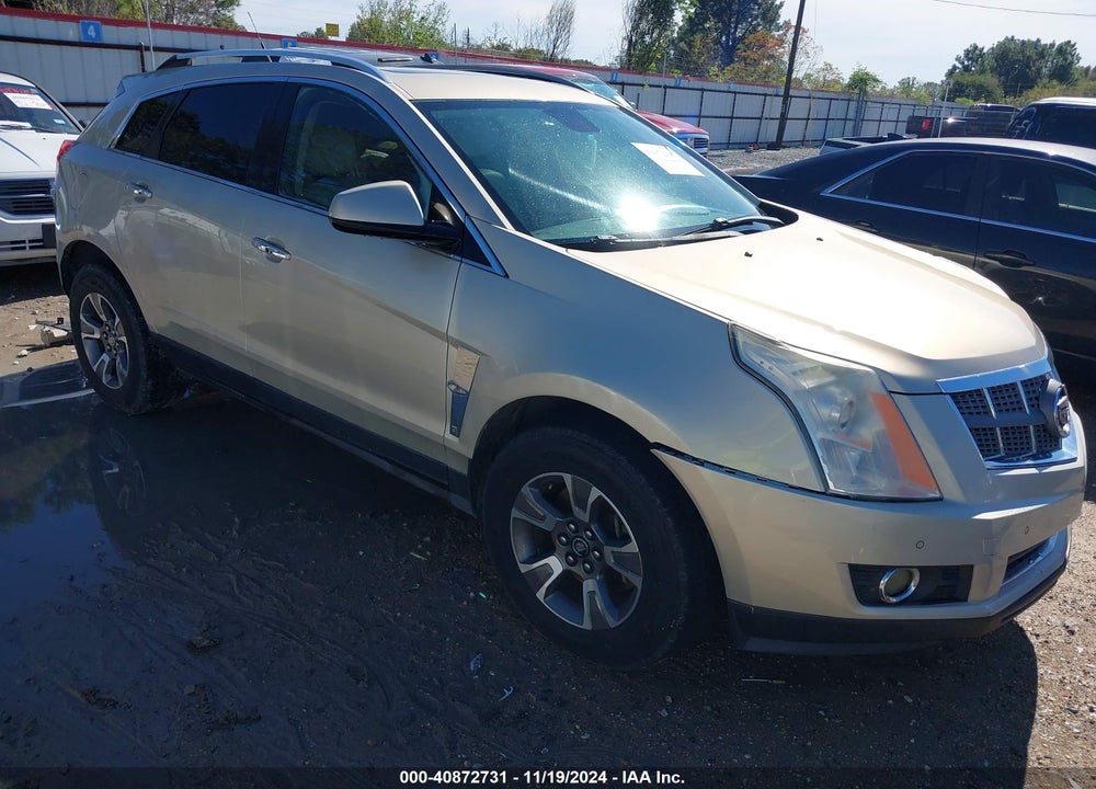 2010 CADILLAC SRX LUXURY COLLECTION VIN: 3GYFNAEY0AS500793