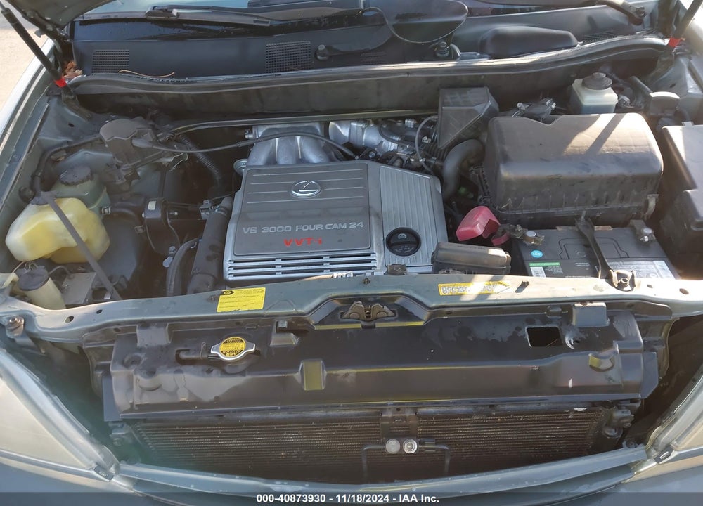 2000 LEXUS RX 300 VIN: JT6GF10U7Y0076825