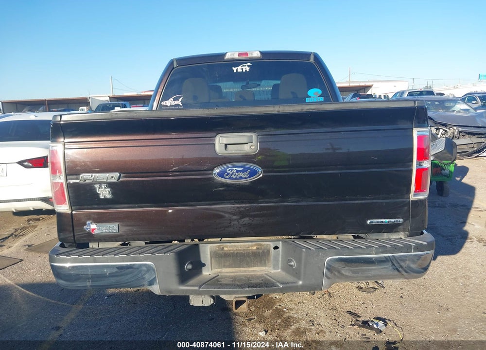 2013 FORD F-150 XLT VIN: 1FTEW1CM3DFB66301