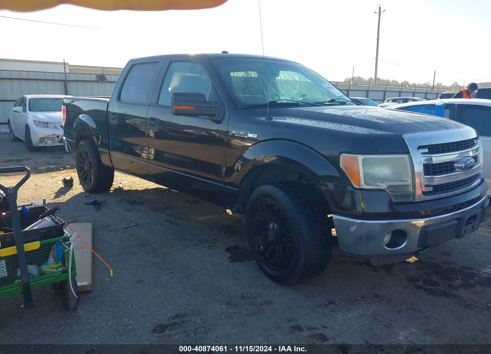 2013 FORD F-150 XLT VIN: 1FTEW1CM3DFB66301