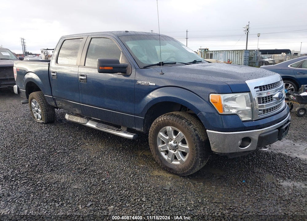 2014 FORD F-150 XLT VIN: 1FTFW1EFXEFB21943