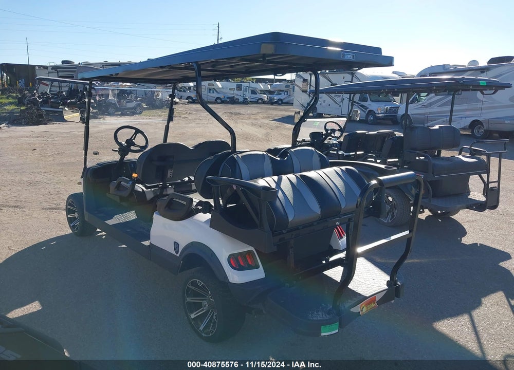 2021 GOLF CART LION VIN: 137995