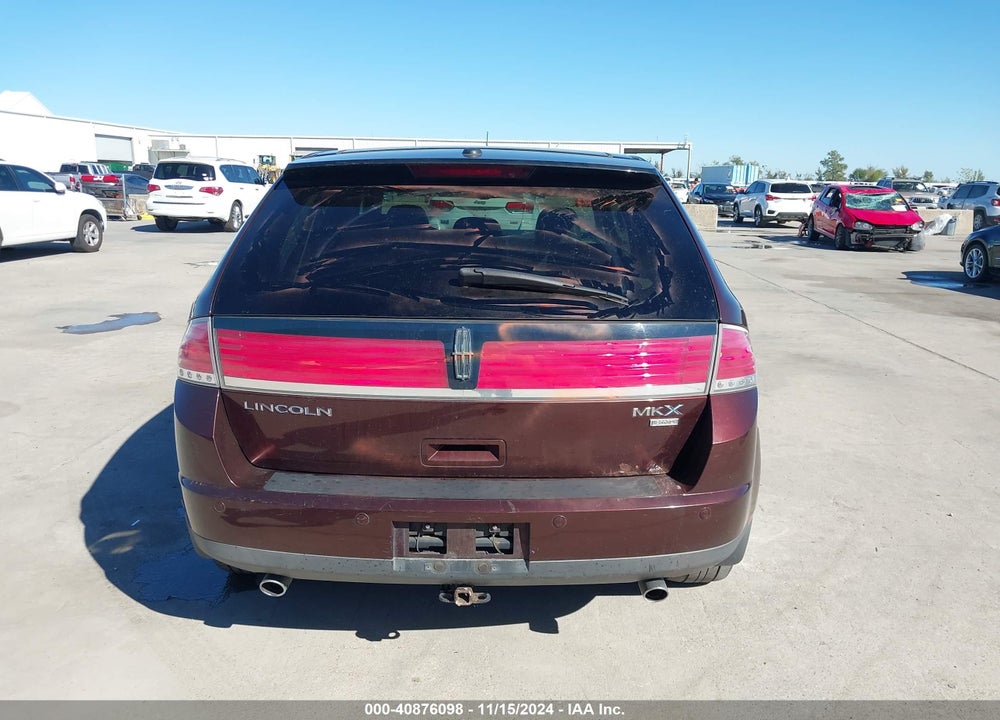 2009 LINCOLN MKX VIN: 2LMDU88C19BJ04706