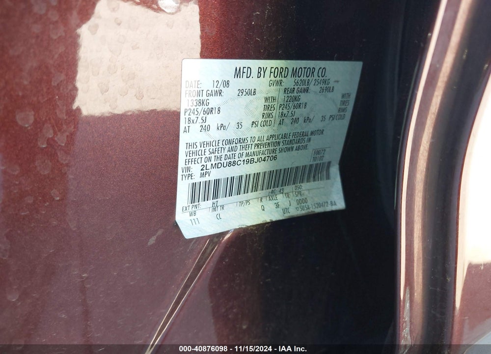 2009 LINCOLN MKX VIN: 2LMDU88C19BJ04706