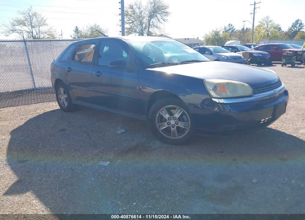 2004 CHEVROLET MALIBU MAXX LS VIN: 1G1ZT64874F164259