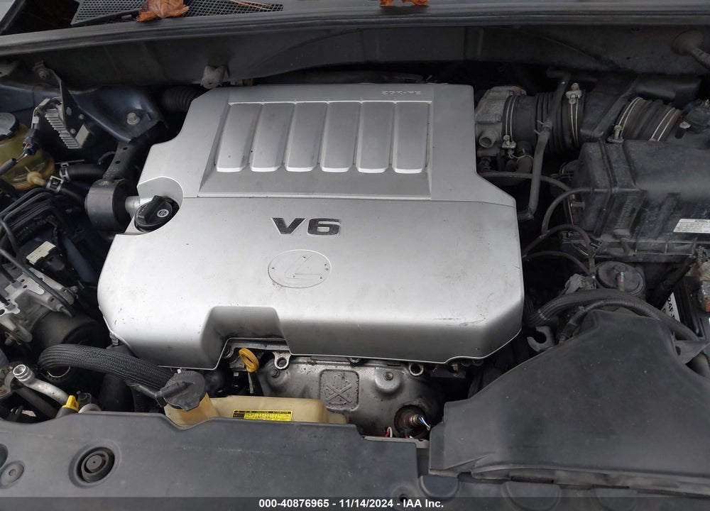 2007 LEXUS RX 350 VIN: 2T2HK31U47C006864