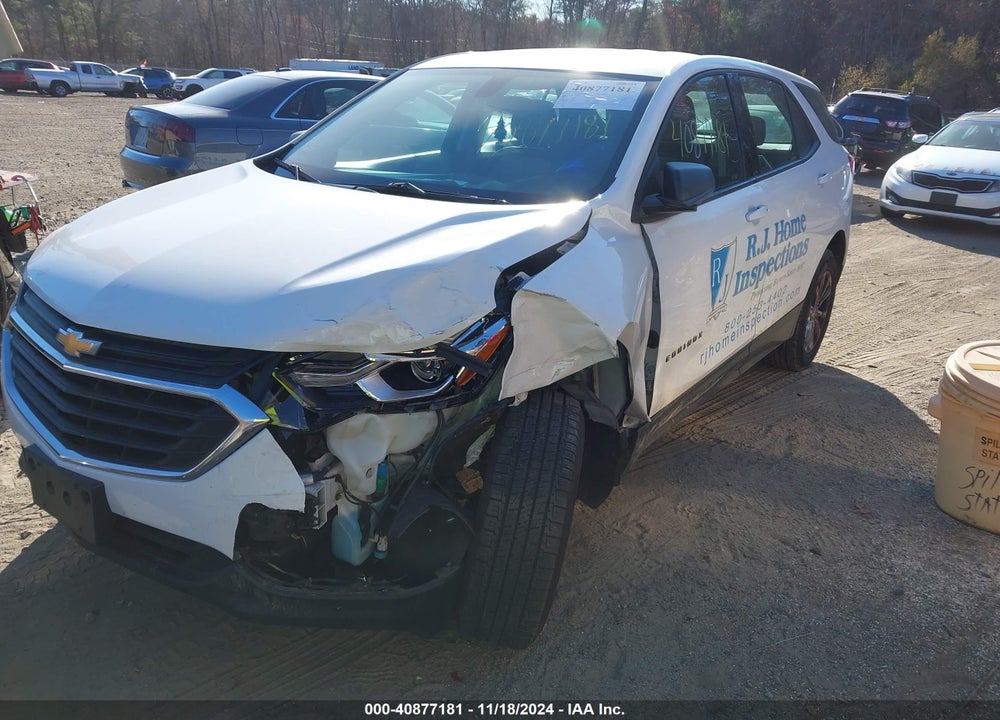 2019 CHEVROLET EQUINOX LS VIN: 2GNAXSEV8K6194519