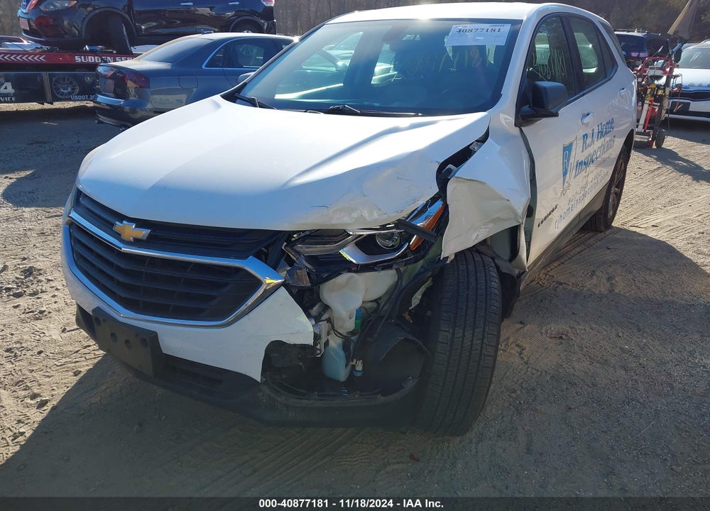 2019 CHEVROLET EQUINOX LS VIN: 2GNAXSEV8K6194519