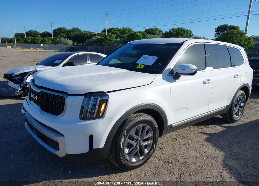 2024 KIA TELLURIDE VIN: 5XYP24GC3RG566211