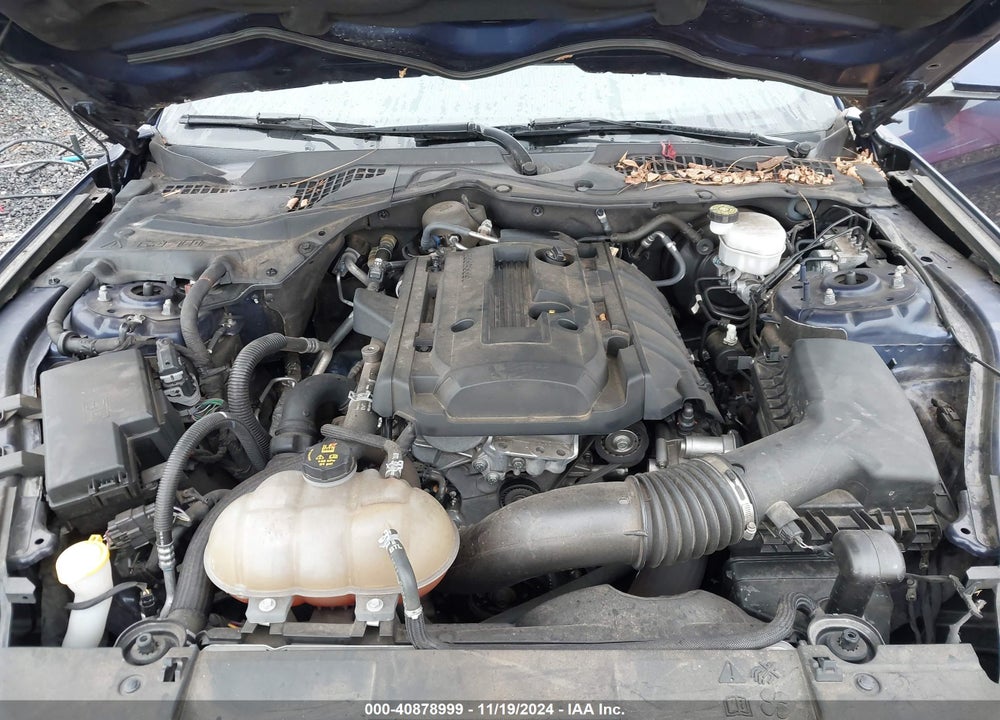 2019 FORD MUSTANG ECOBOOST VIN: 1FA6P8TH0K5199763