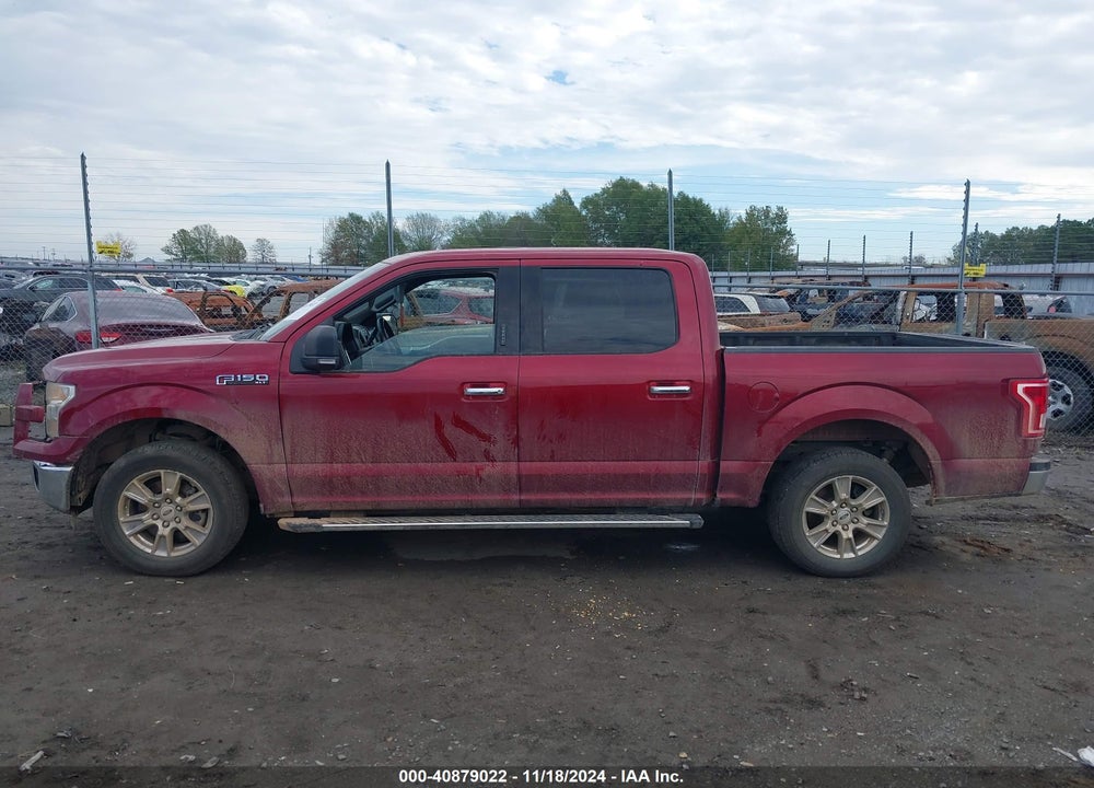 2015 FORD F-150 XLT VIN: 1FTEW1CGXFFB38315