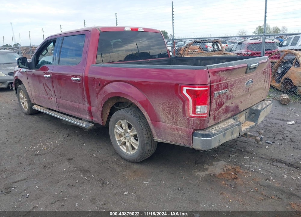 2015 FORD F-150 XLT VIN: 1FTEW1CGXFFB38315