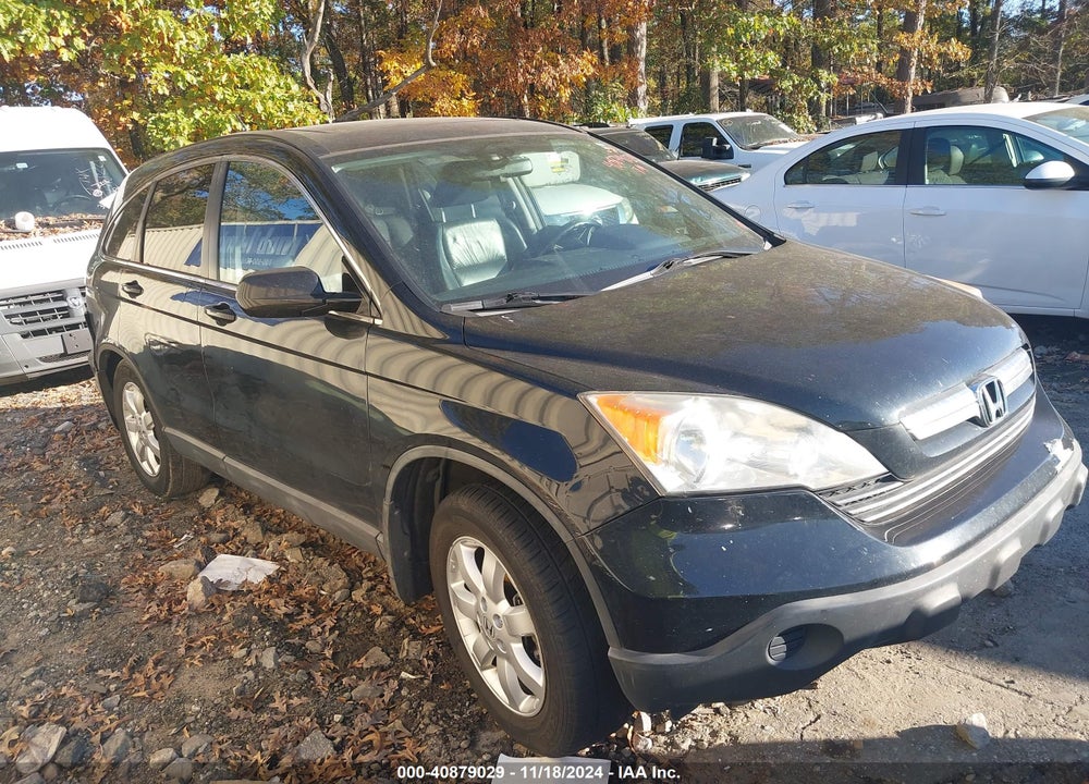 2009 HONDA CR-V VIN: 5J6RE38719L030142