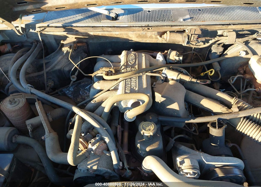 1989 FORD F150 VIN: 1FTEF14Y7KNB36318