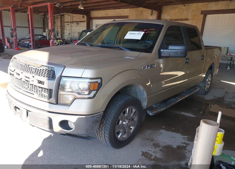 2009 FORD F-150 XL/XLT VIN: 1FTRW12839FA19358